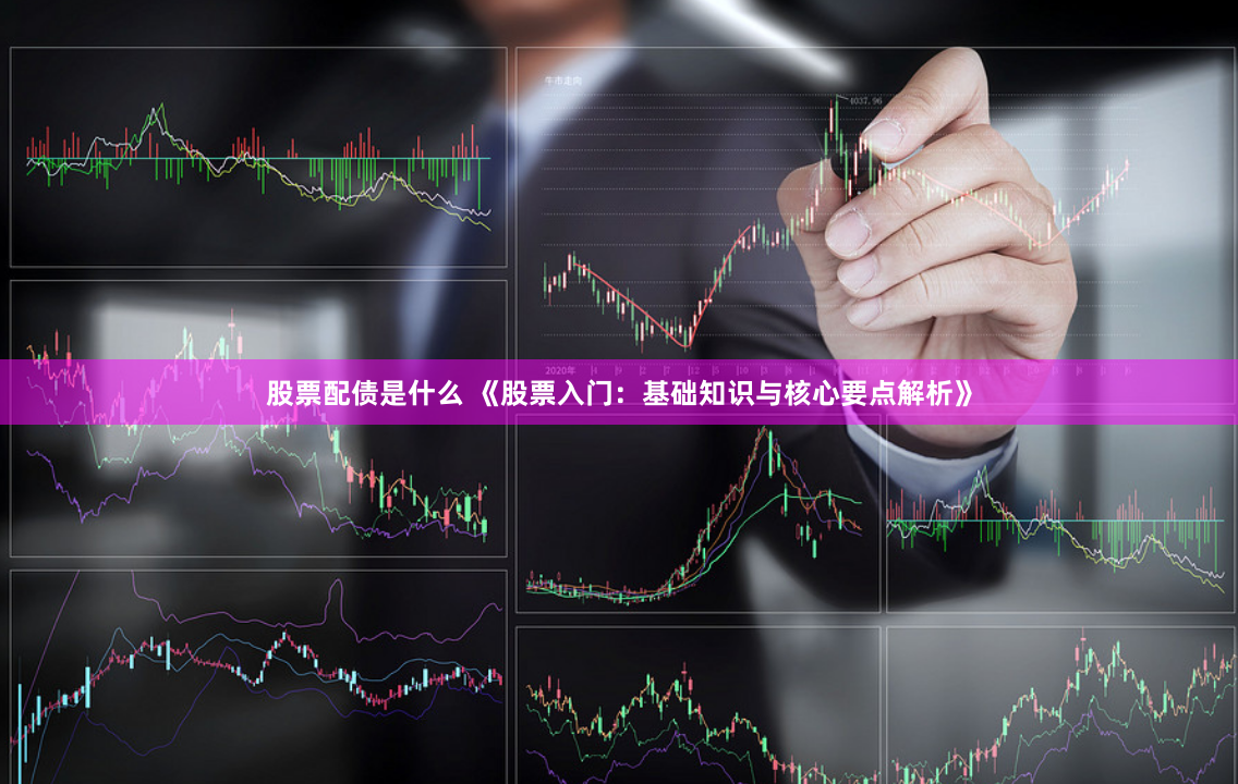 股票配债是什么 《股票入门：基础知识与核心要点解析》